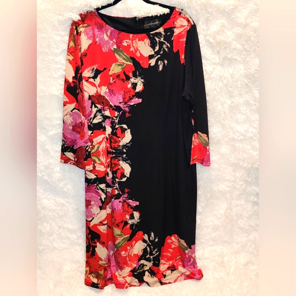 **Woman's Multiple Color Dress**